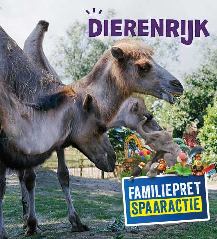 dierenrijk