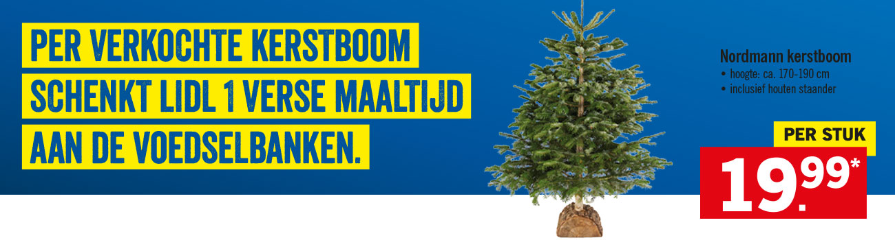 Kerstboom