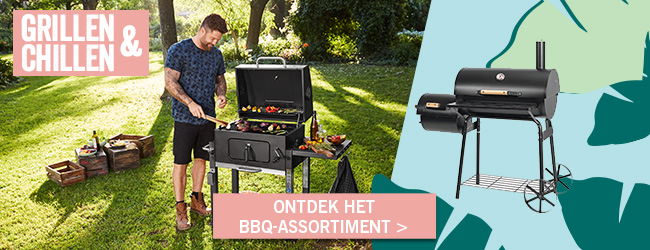 Barbecues en BBQ-toebehoren