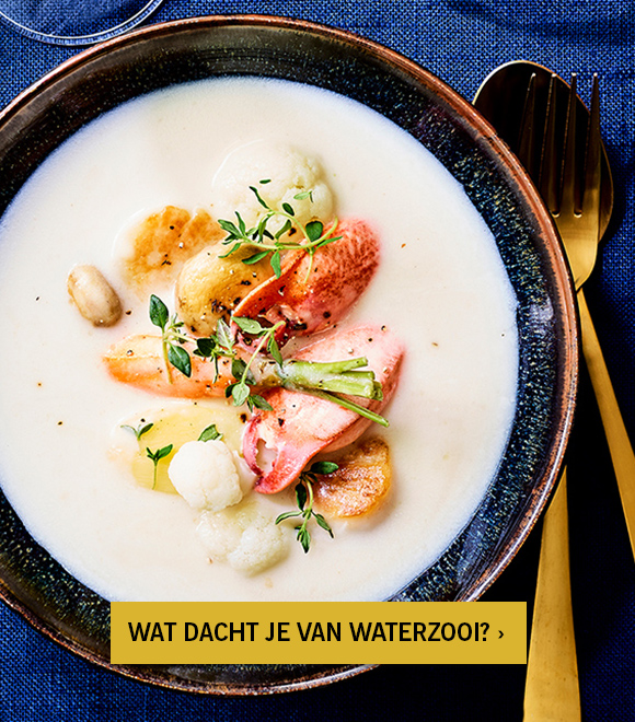 Waterzooi van kreeft en sint-jakobsvruchten 