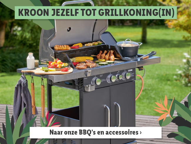 Barbecues en accessoires