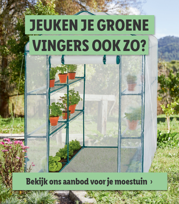 Moestuinaanbod