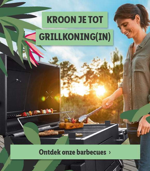 Barbecues en accesoires