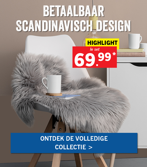 Scandinavisch interieur